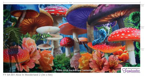 Alice-In-Wonderland-2