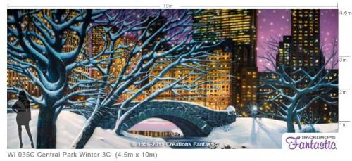 WI-035C-Central-Park-Winter-3C