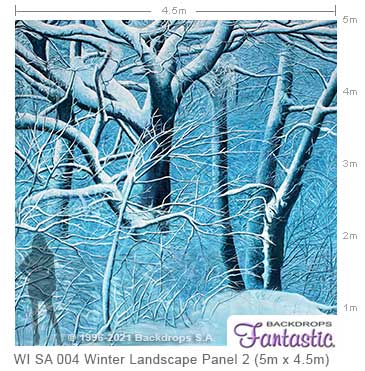WI-SA-004-Winter-Landscape-Panel-2