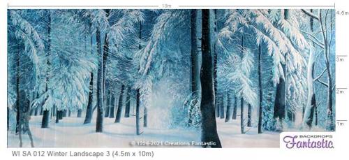 WI-SA-012-Winter-Landscape-3